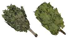 Birke + Eiche Reisig - einzeln