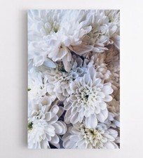 Blume Wandbilder Pflanzen Natur Leinwandbild Leinwand Bild Vlies Deko Kunst XXL