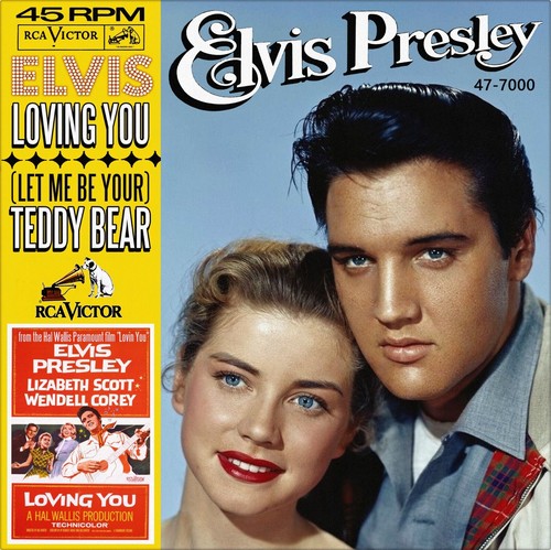 Repro photo elvis - repro,