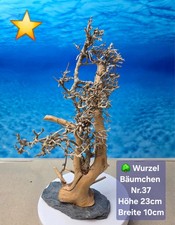 🌳Aquarium Wurzel Bonsai