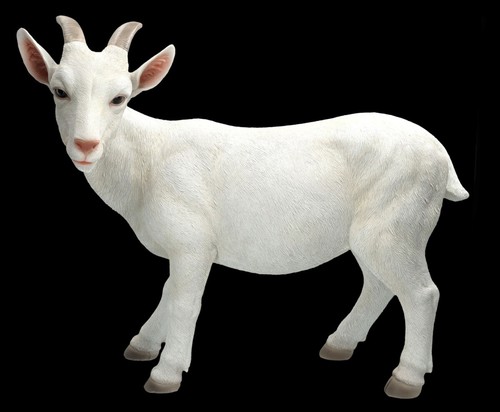 Gartenfigur ziege tierfigur - ziege, xl-tierfigur