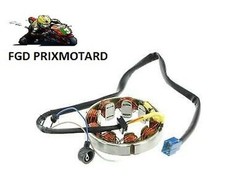 Wechselstromgenerator Stator