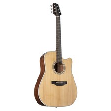 Takamine GD20CE NS2