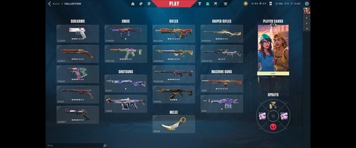 Valorant account full - valorant, account|full