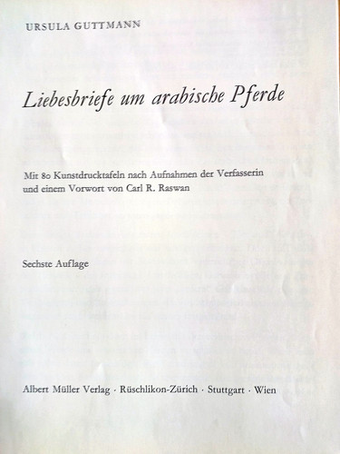 Pferde araber rasse zucht - araber,
