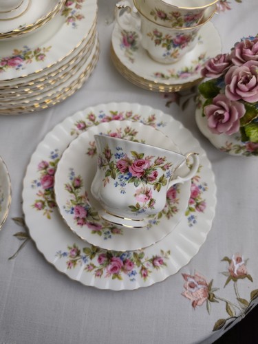 Royal albert moss rose - royal,