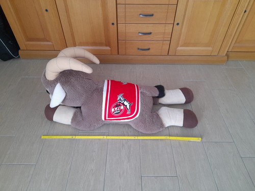 Köln geißbock - fc,
