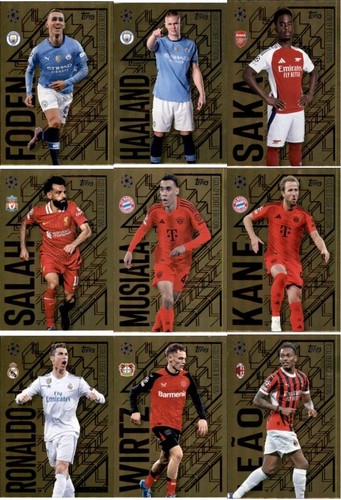 Champions league 2024 - champions,
