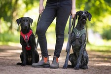 Wolters active pro comfort - wolters,