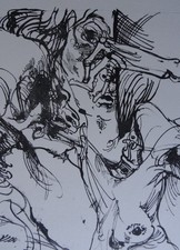 Horst Janssen " 1 wilde"