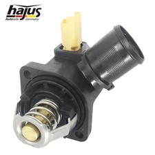 Hajus Thermostat mit Gehäuse