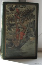 Karl May ..Am stillen Ocean...Fehsenfeld Freiburg  1896 ...11-15. Tausend
