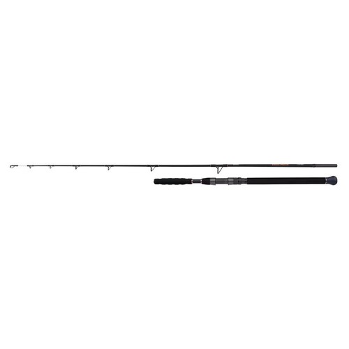 Shimano beastmaster catfish - ax,