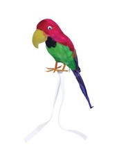 Papagei Feder Bedeckt