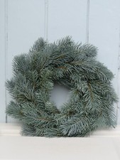 Tannenkranz Kranz Blautanne