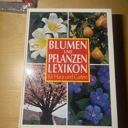 Blumen und pflanzen - blumen,
