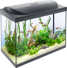 Tetra Starter Line 80 L