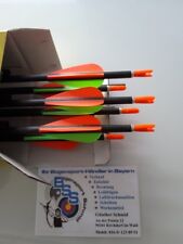 Carbonpfeil Cross X Ambition