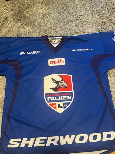 Heilbronner falken eishockey - falken,