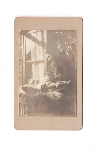 Cdv foto feine dame - feine, baby
