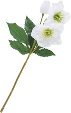 DPI Helleborus Kunstblume