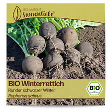 BIO Rettich Samen Sorte Runder schwarzer Winter Gemüsesamen BIO Gemüse Saatgut s