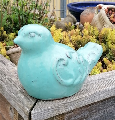 Wahl kleiner vogel - kleiner,