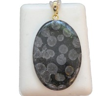 Schwarze Koralle Cabochon