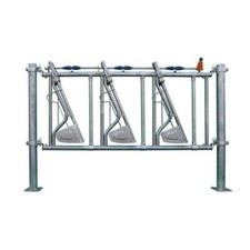 Sicherheits-Selbstfangfressgit