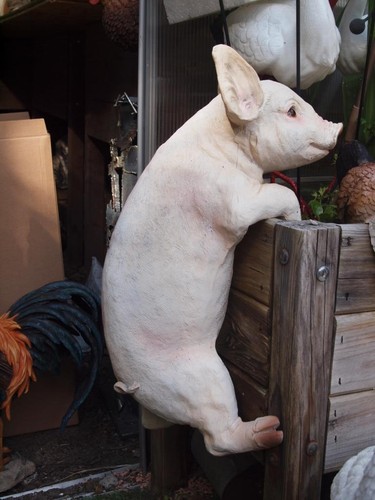 Schwein ferkel deko - schwein,