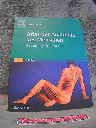 Atlas der anatomie - der, des