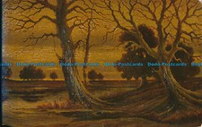 R017922 Dammerung im Moor