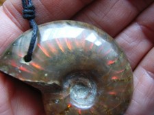 Großer, rot opalisierender