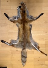 Fuchsfell - Rotfuchs -