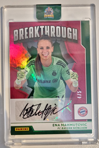 Panini 2025 google pixel - panini,