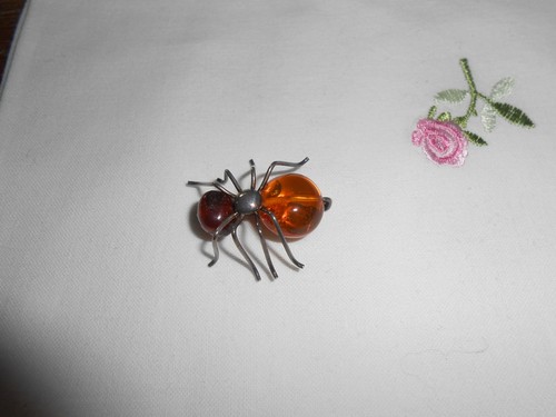 Halloween spinne vintage - halloween,