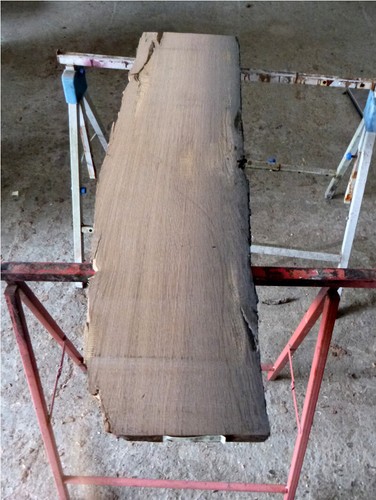 Mooreiche moorholz altholz - moorholz,