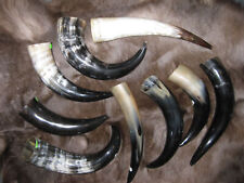 Trinkhorn 0,5 - 0,6 Liter