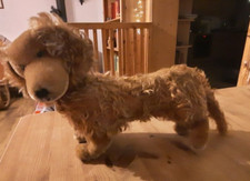 Alter Steiff Dackel