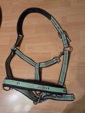 Eskadron Halfter Navy/Green – Classic Sports HW 2010 – Größe W (Full)