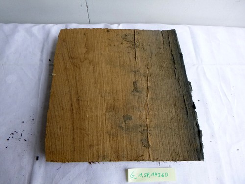Mooreiche moorholz 2000 - mooreiche, jh