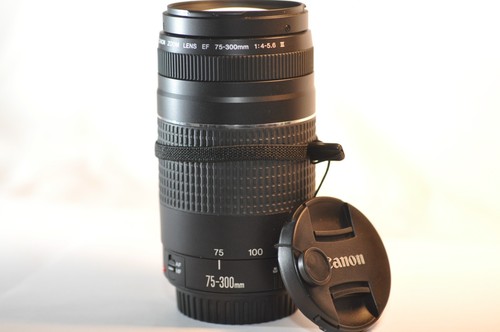 Canon 300mm 5 - f/4-5.6, iii