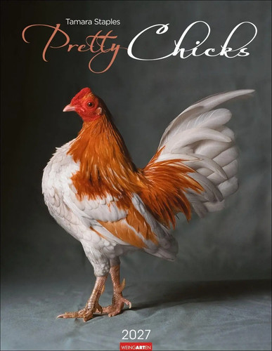 Pretty chicks kalender 2027 - pretty,