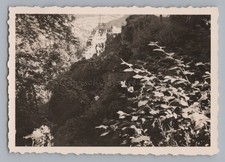 Schramberg Burgruine