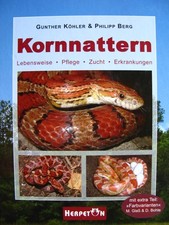 Kornnattern -  Lebensweise