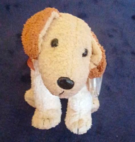 Beanie baby hund - ty,