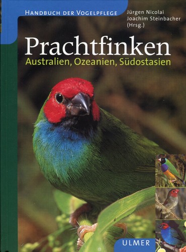 Prachtfinken australien - prachtfinken:,