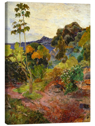 Leinwandbild küstenlandschaft - leinwandbild,