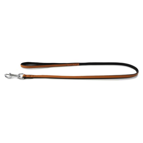 Das lederband hunde - das,