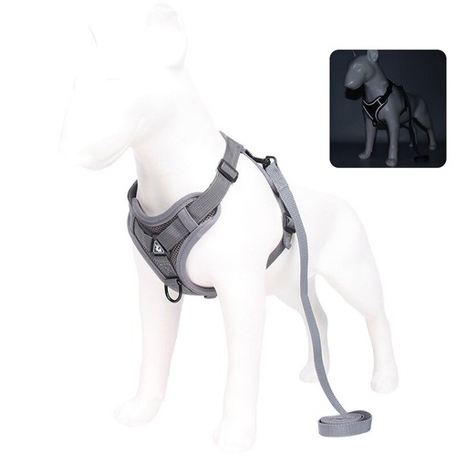Hundegeschirr mit leine - hundegeschirr,